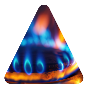 Gas Supply Issue NZ